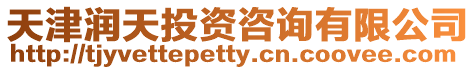 天津潤天投資咨詢有限公司