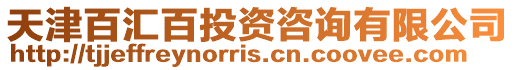 天津百匯百投資咨詢有限公司