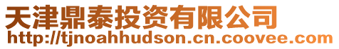 天津鼎泰投資有限公司