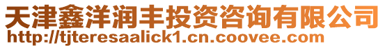 天津鑫洋潤豐投資咨詢有限公司