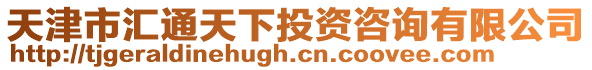 天津市匯通天下投資咨詢有限公司