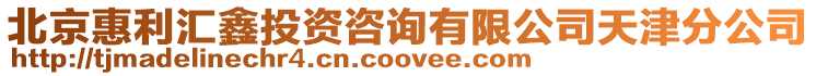 北京惠利匯鑫投資咨詢有限公司天津分公司