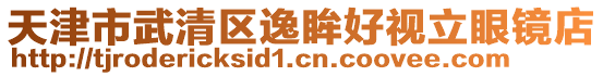 天津市武清區(qū)逸眸好視立眼鏡店