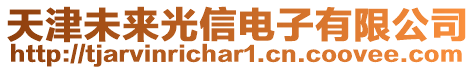 天津未來光信電子有限公司