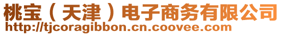 桃寶（天津）電子商務(wù)有限公司