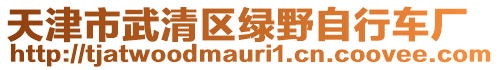 天津市武清區綠野自行車廠