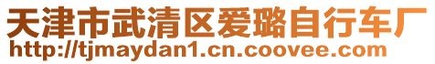 天津市武清區愛璐自行車廠