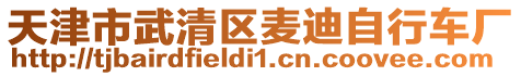 天津市武清區(qū)麥迪自行車廠
