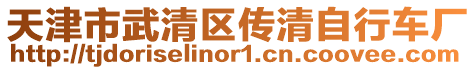 天津市武清區傳清自行車廠