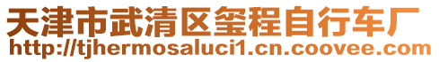 天津市武清區(qū)璽程自行車廠