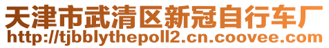 天津市武清區(qū)新冠自行車廠