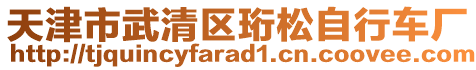 天津市武清區(qū)珩松自行車(chē)廠