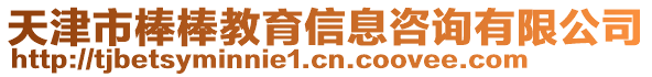 天津市棒棒教育信息咨詢有限公司