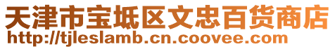 天津市寶坻區文忠百貨商店