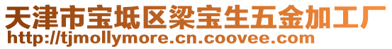 天津市寶坻區(qū)梁寶生五金加工廠