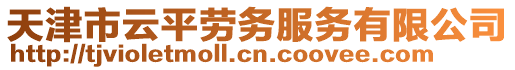 天津市云平勞務(wù)服務(wù)有限公司