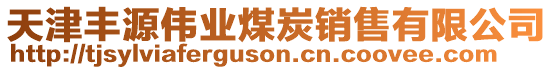 天津豐源偉業(yè)煤炭銷(xiāo)售有限公司