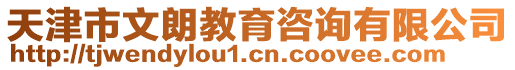 天津市文朗教育咨詢(xún)有限公司