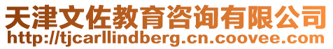 天津文佐教育咨詢有限公司