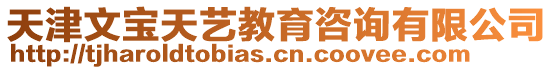 天津文寶天藝教育咨詢有限公司