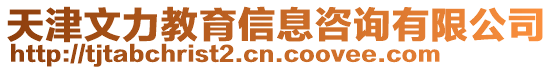 天津文力教育信息咨詢有限公司