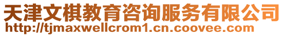 天津文棋教育咨詢服務(wù)有限公司