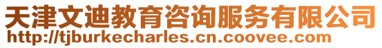 天津文迪教育咨詢服務有限公司