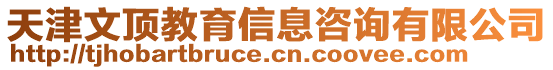 天津文頂教育信息咨詢有限公司