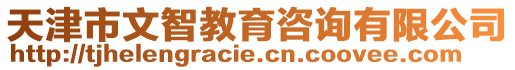 天津市文智教育咨詢有限公司