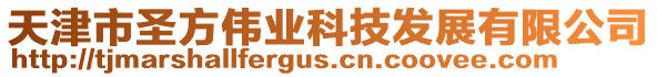 天津市圣方偉業(yè)科技發(fā)展有限公司