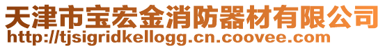 天津市宝宏金消防器材有限公司