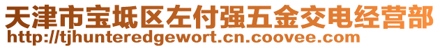 天津市宝坻区左付强五金交电经营部