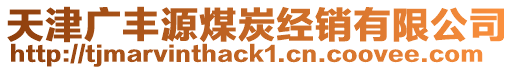 天津廣豐源煤炭經(jīng)銷有限公司