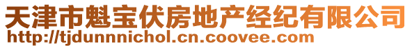 天津市魁寶伏房地產(chǎn)經(jīng)紀(jì)有限公司