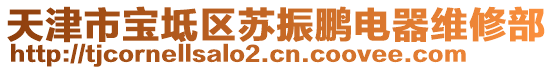 天津市寶坻區(qū)蘇振鵬電器維修部