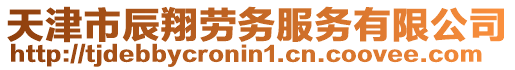 天津市辰翔勞務(wù)服務(wù)有限公司