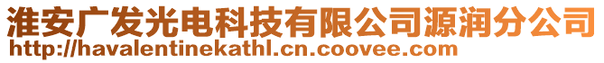 淮安廣發(fā)光電科技有限公司源潤(rùn)分公司