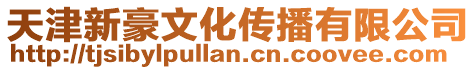 天津新豪文化傳播有限公司