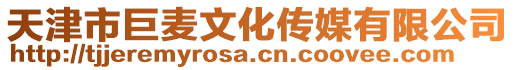 天津市巨麥文化傳媒有限公司