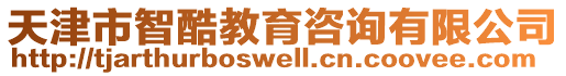 天津市智酷教育咨詢有限公司