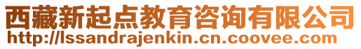 西藏新起點教育咨詢有限公司