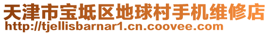 天津市寶坻區(qū)地球村手機維修店