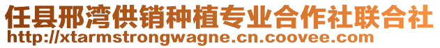 任县邢湾供销种植专业合作社联合社