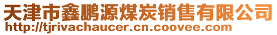 天津市鑫鵬源煤炭銷售有限公司