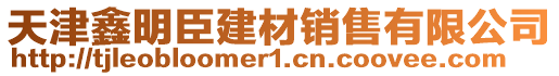 天津鑫明臣建材銷售有限公司