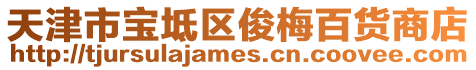 天津市寶坻區俊梅百貨商店