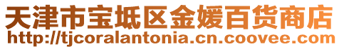 天津市寶坻區(qū)金媛百貨商店