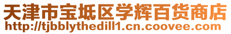 天津市寶坻區學輝百貨商店