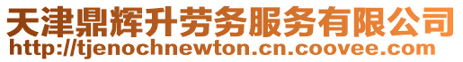 天津鼎輝升勞務服務有限公司