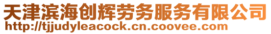 天津?yàn)I海創(chuàng)輝勞務(wù)服務(wù)有限公司